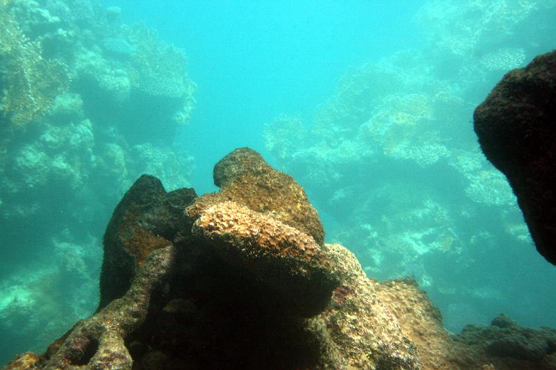 2008-03-01 10-41-20 H.JPG